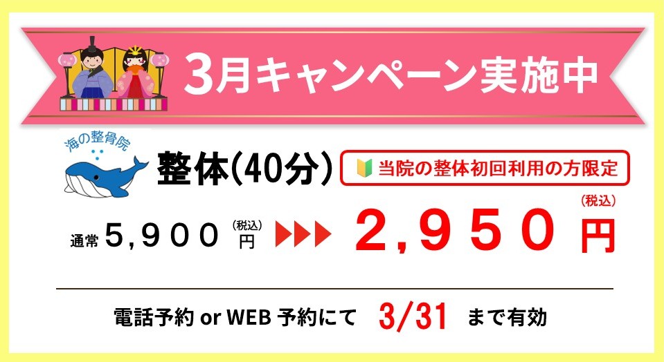 2026.3整体キャンペーン